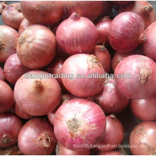 China red small onion